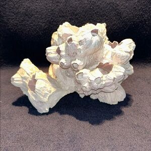 Barnacle Shell Cluster, Natural Vintage Piece